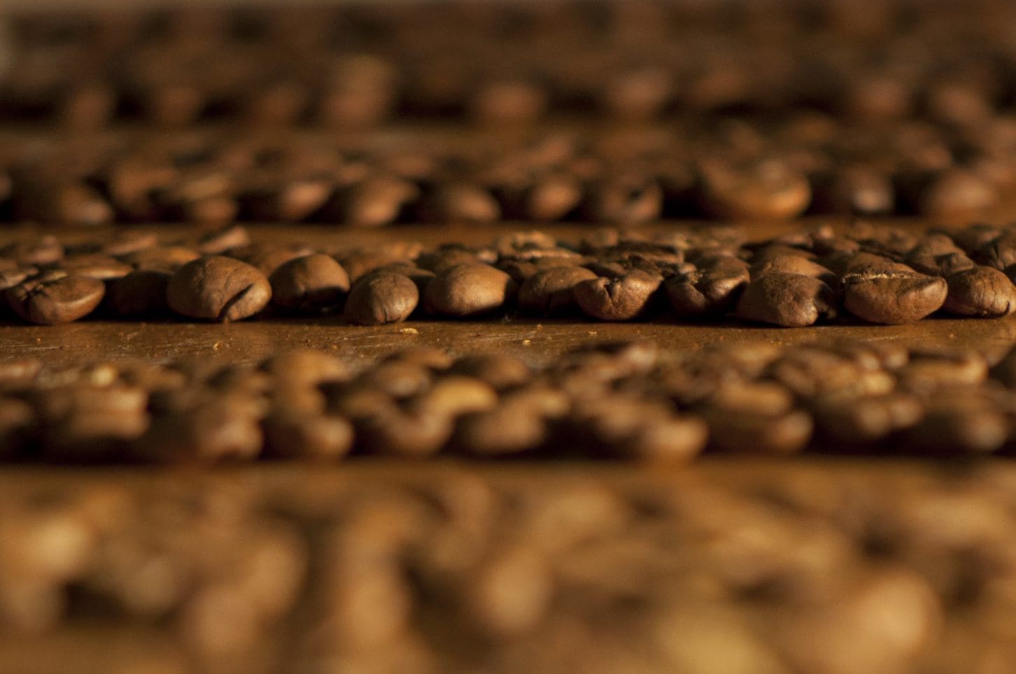 64148274 9e44 4539 808e 973b20f724f3 - Kaffee-Geheimnis