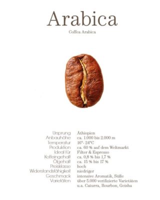 Arabica Bohne Profil