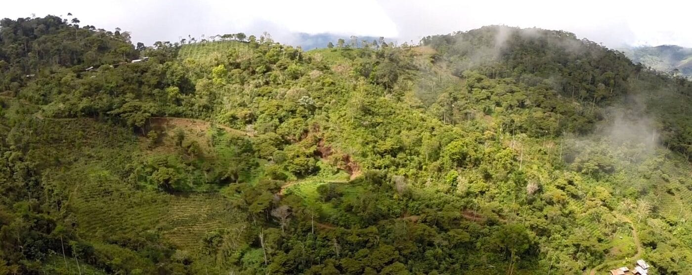 Plantage Peru