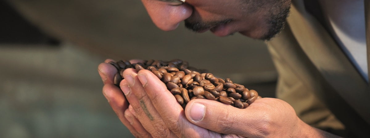 zwei Haende voll Kaffeebohnen, ueber die sich ein Gesicht beugt und daran reicht Sensorik