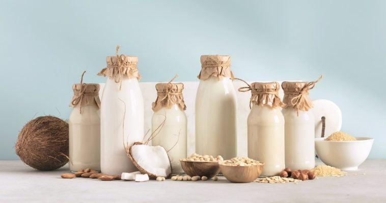 verschieden große Flaschen voll mit Milchalternativenund Nüssen