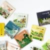 Pure Tea, Althaus - BIO
