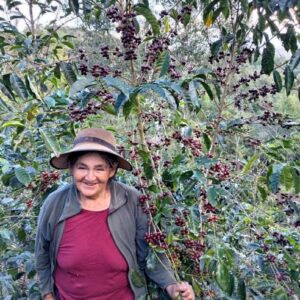 Planatagenbilder-EstilísticaCoronadoDeMontes-Best-Cups-Pacha-Mama-2026-1