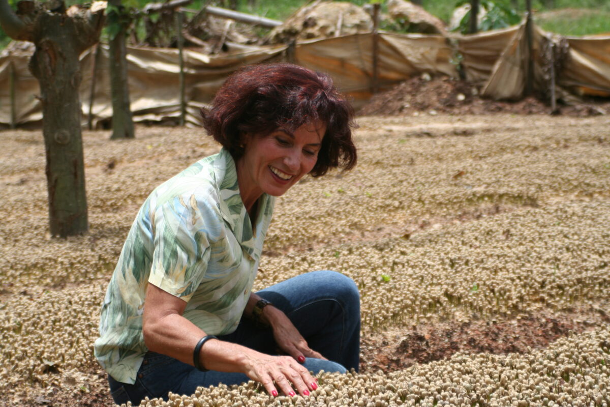 Santa Elena Costa Rica Lumzer Langjaehrige Partnerschaft - Das große 1 x 1 der Kaffeeaufbereitung