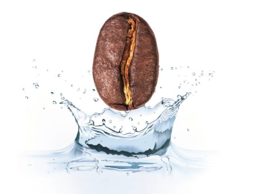 Kaffeebohne faellt in spritziges Wasser