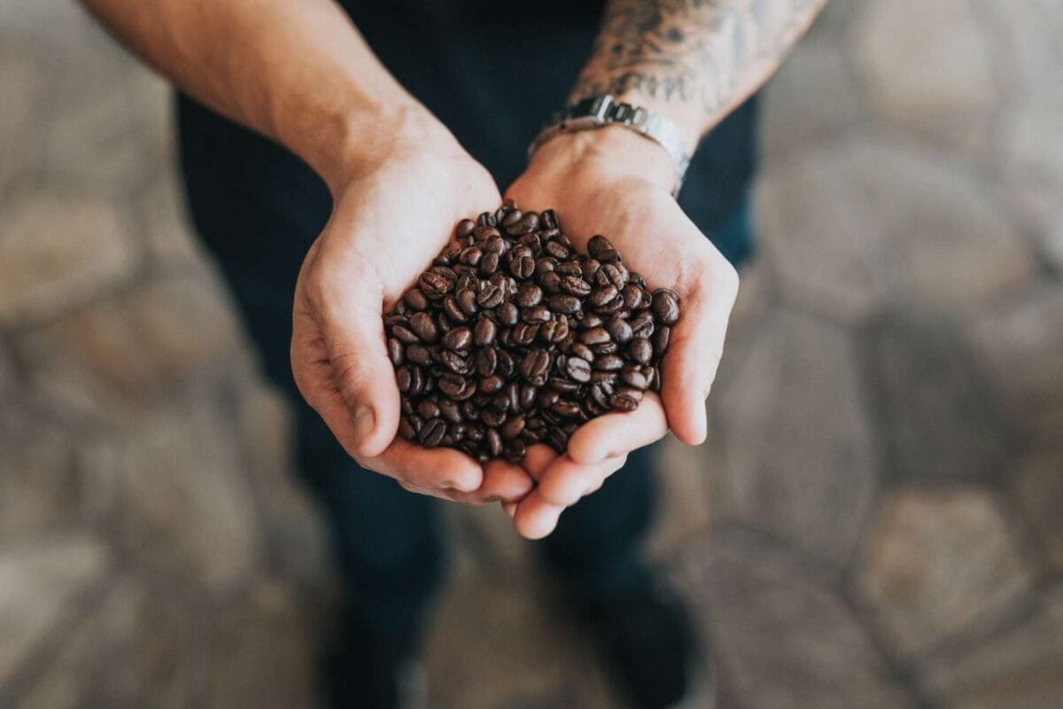nathan dumlao QLkjP W4d7c unsplash - DeCaf