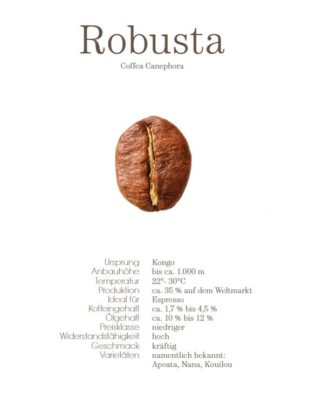 Robusta Bohne Profil