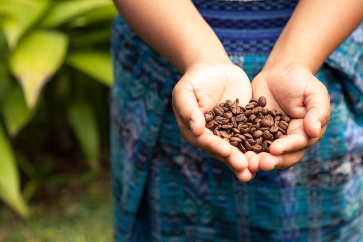 DeCaf Entkoffeiniert Schonend Co2