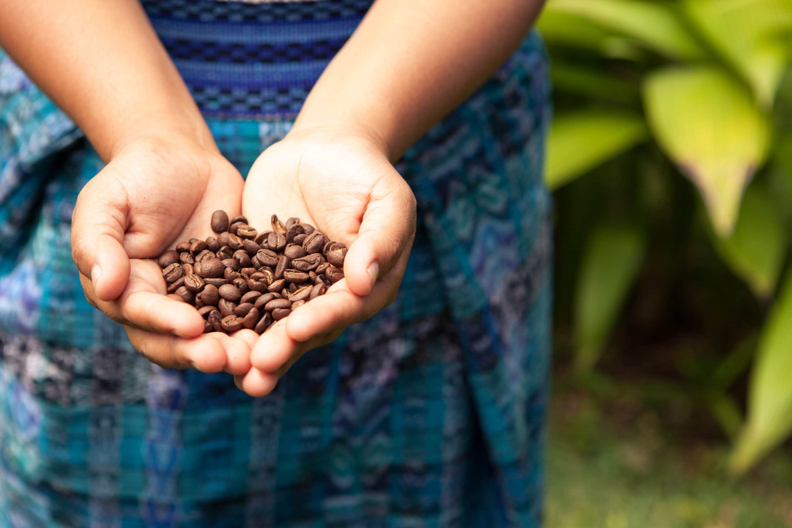 DeCaf Entkoffeiniert Schonend Co2